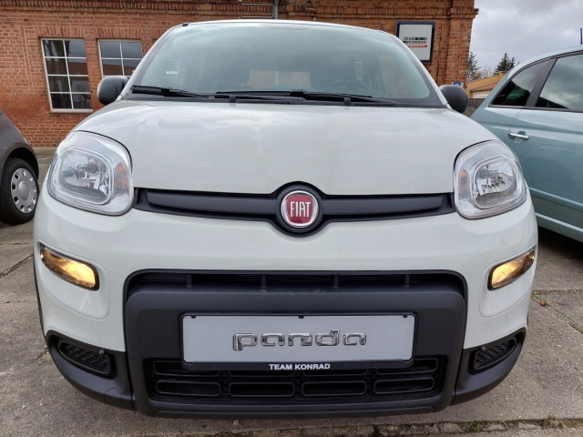 Fiat Panda 1.0 Pandina DAB Spurhalteass. Verkehrszeichenerk. Notbremsass. PDC Berganfahrass.-1