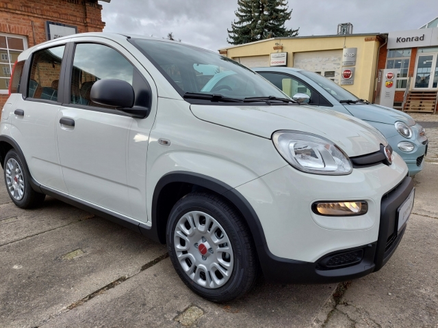 Fiat Panda 1.0 Pandina DAB Spurhalteass. Verkehrszeichenerk. Notbremsass. PDC Berganfahrass.-2